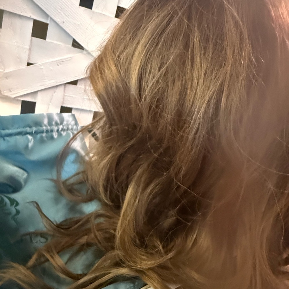 Nel’s Wigs NWT Natural Light Brown Rooted Color - Soft Warm Highlights with Lace - Picture 6 of 11